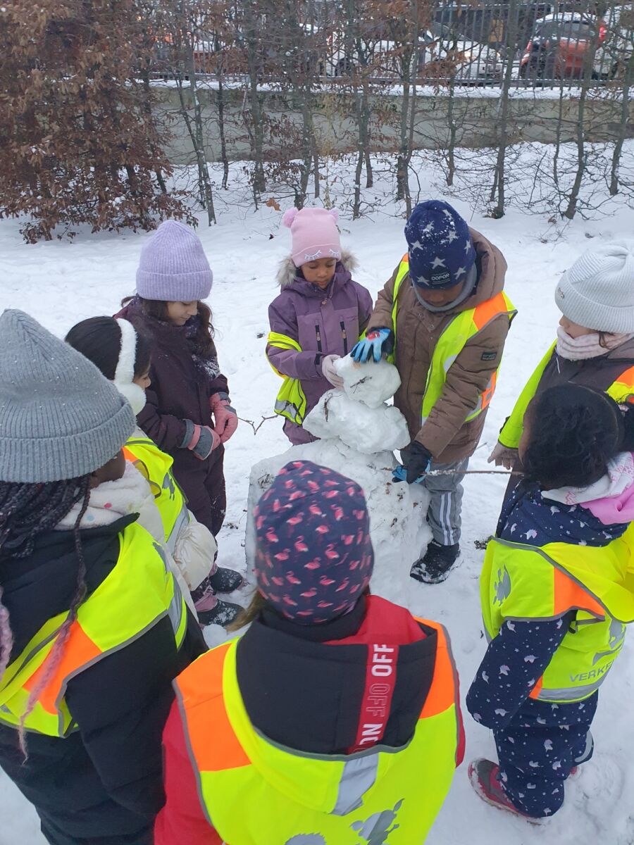 Сліди тварин на снігу